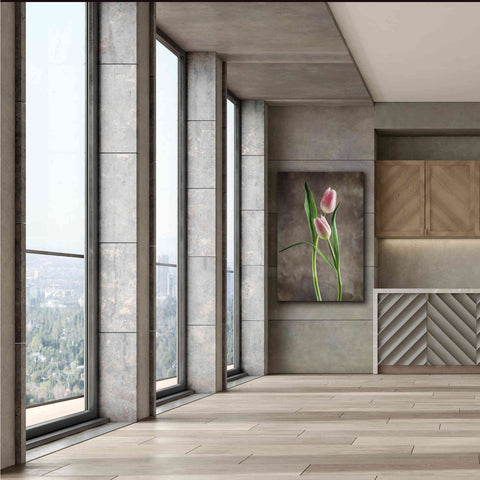 Image of 'Spring Tulips VI' by Debra Van Swearingen, Canvas Wall Art,40 x 60