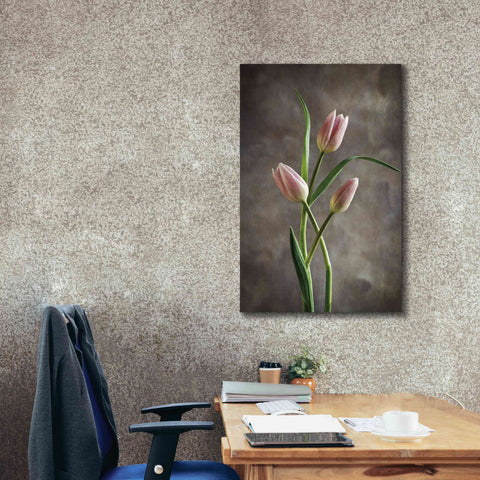 Image of 'Spring Tulips VII' by Debra Van Swearingen, Canvas Wall Art,26 x 40