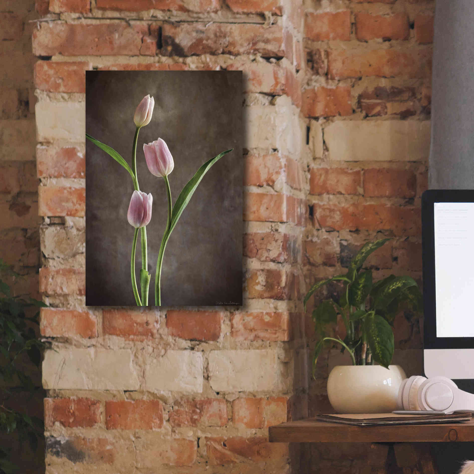 'Spring Tulips VIII' by Debra Van Swearingen, Canvas Wall Art,12 x 18