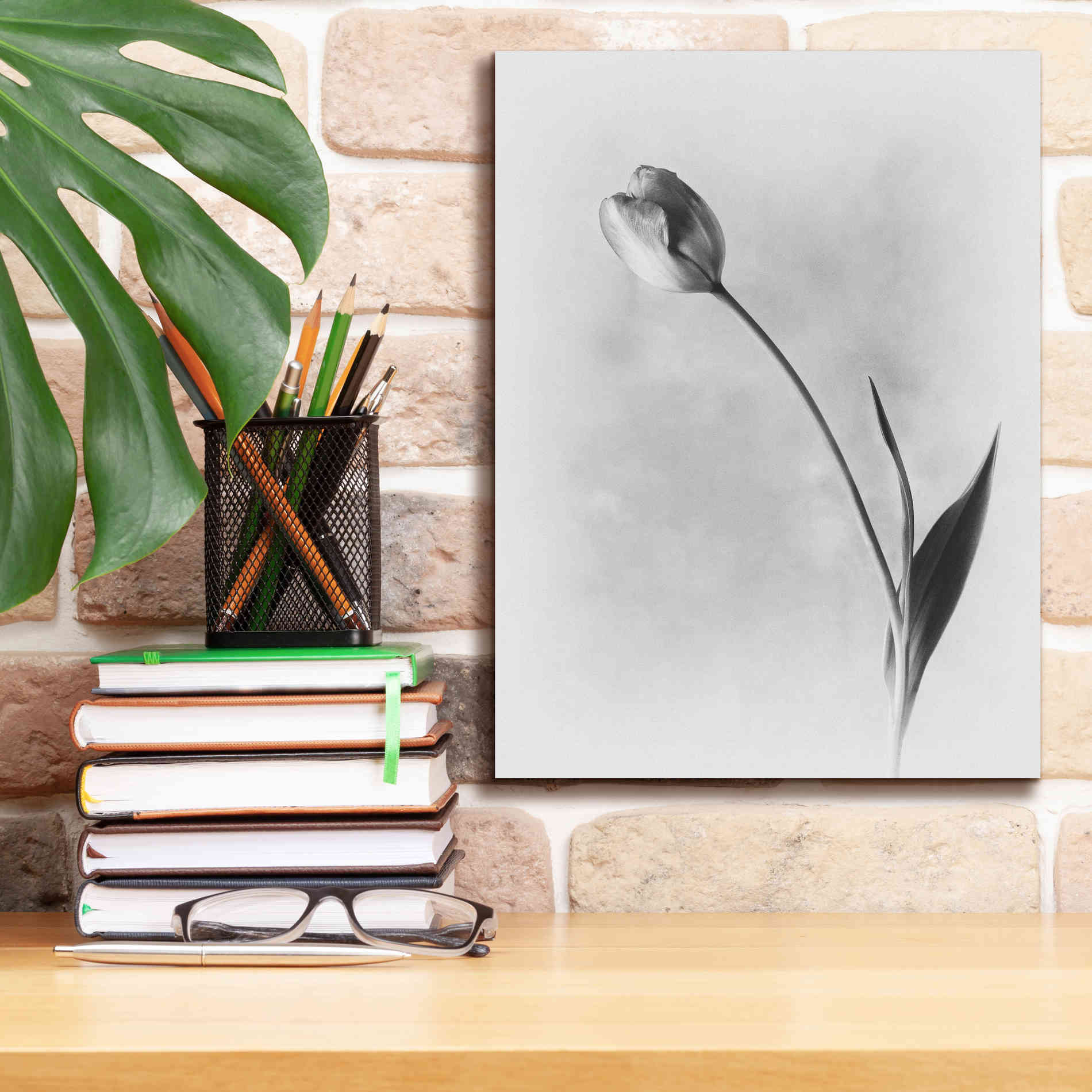 'Soft Tulips II' by Debra Van Swearingen, Canvas Wall Art,12 x 16