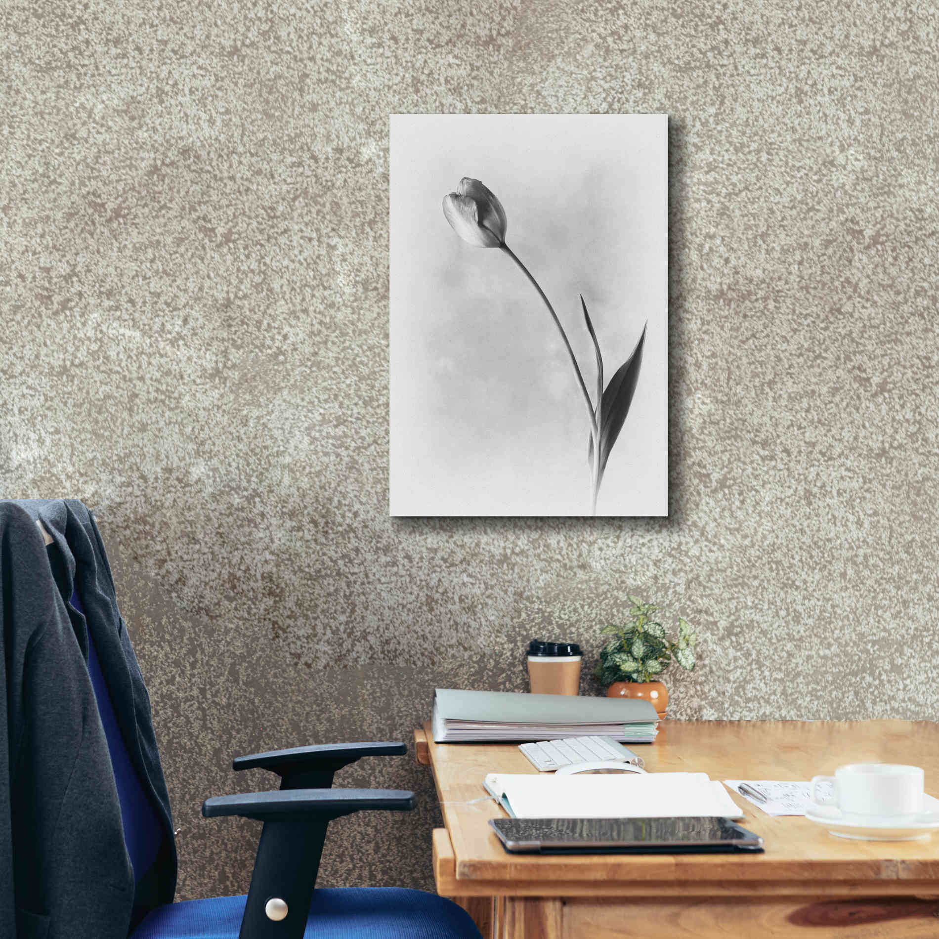 'Soft Tulips II' by Debra Van Swearingen, Canvas Wall Art,18 x 26