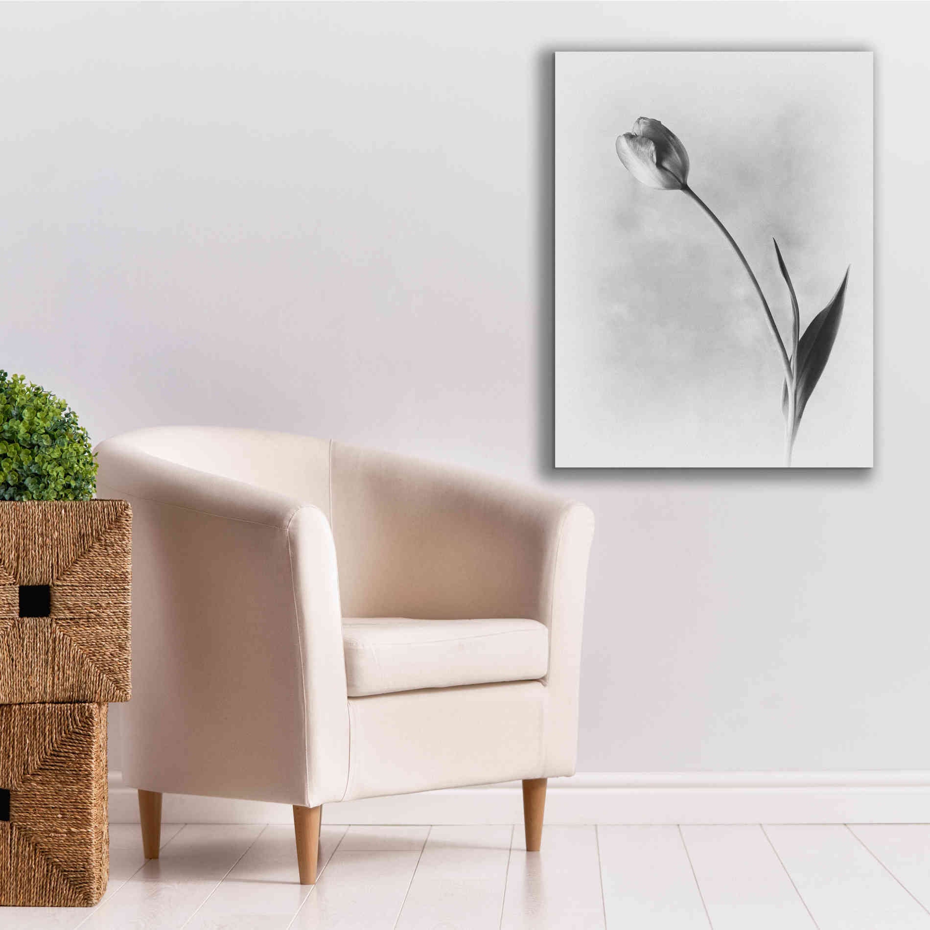 'Soft Tulips II' by Debra Van Swearingen, Canvas Wall Art,26 x 34