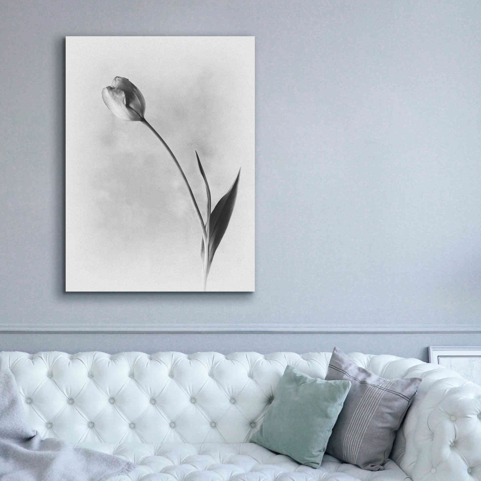 'Soft Tulips II' by Debra Van Swearingen, Canvas Wall Art,40 x 54