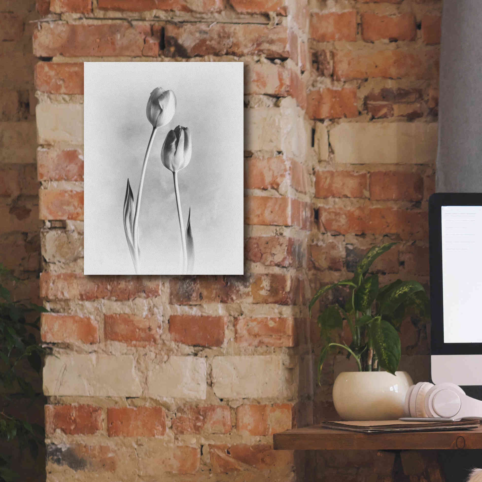'Soft Tulips III' by Debra Van Swearingen, Canvas Wall Art,12 x 16