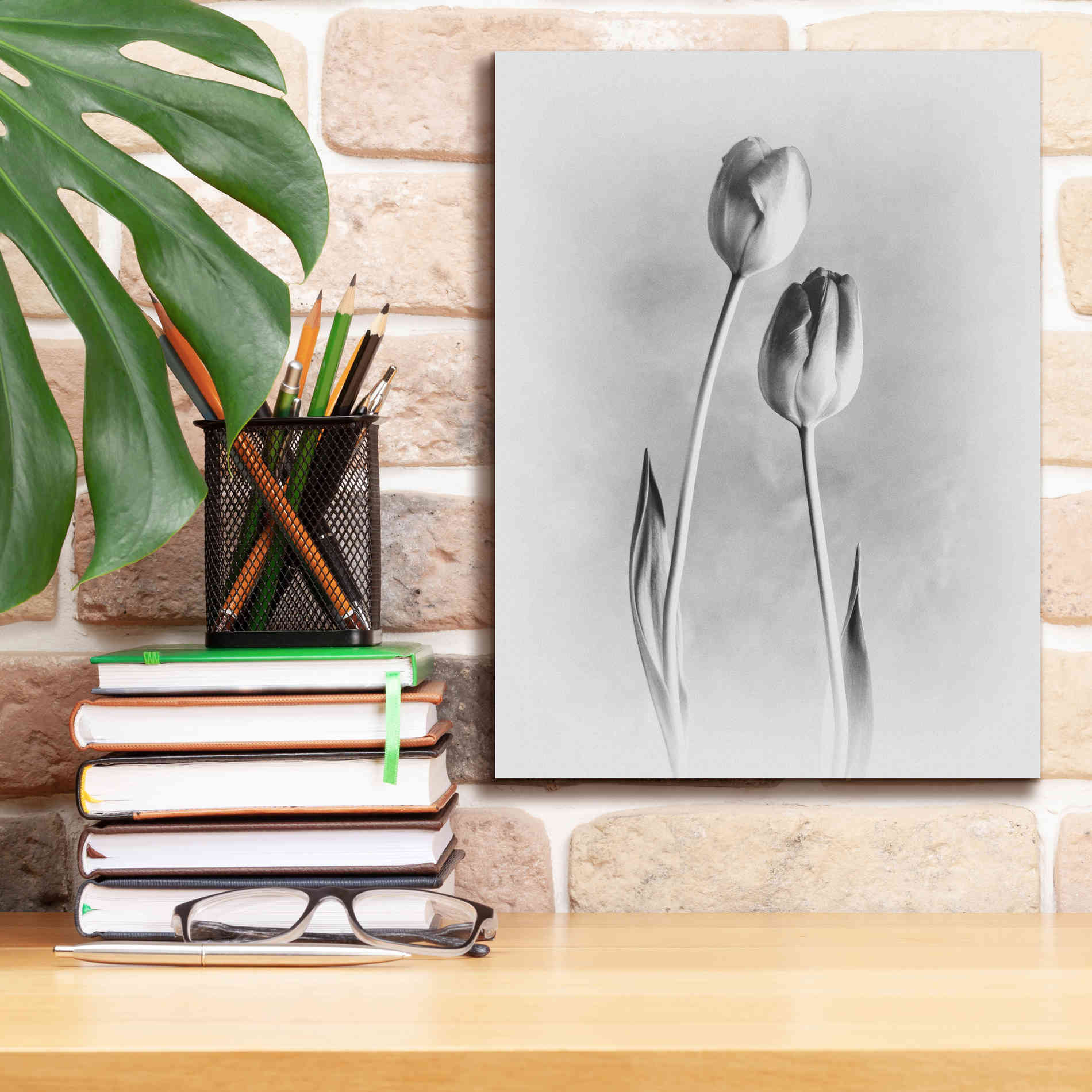 'Soft Tulips III' by Debra Van Swearingen, Canvas Wall Art,12 x 16