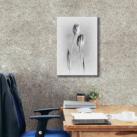 Image of 'Soft Tulips III' by Debra Van Swearingen, Canvas Wall Art,18 x 26