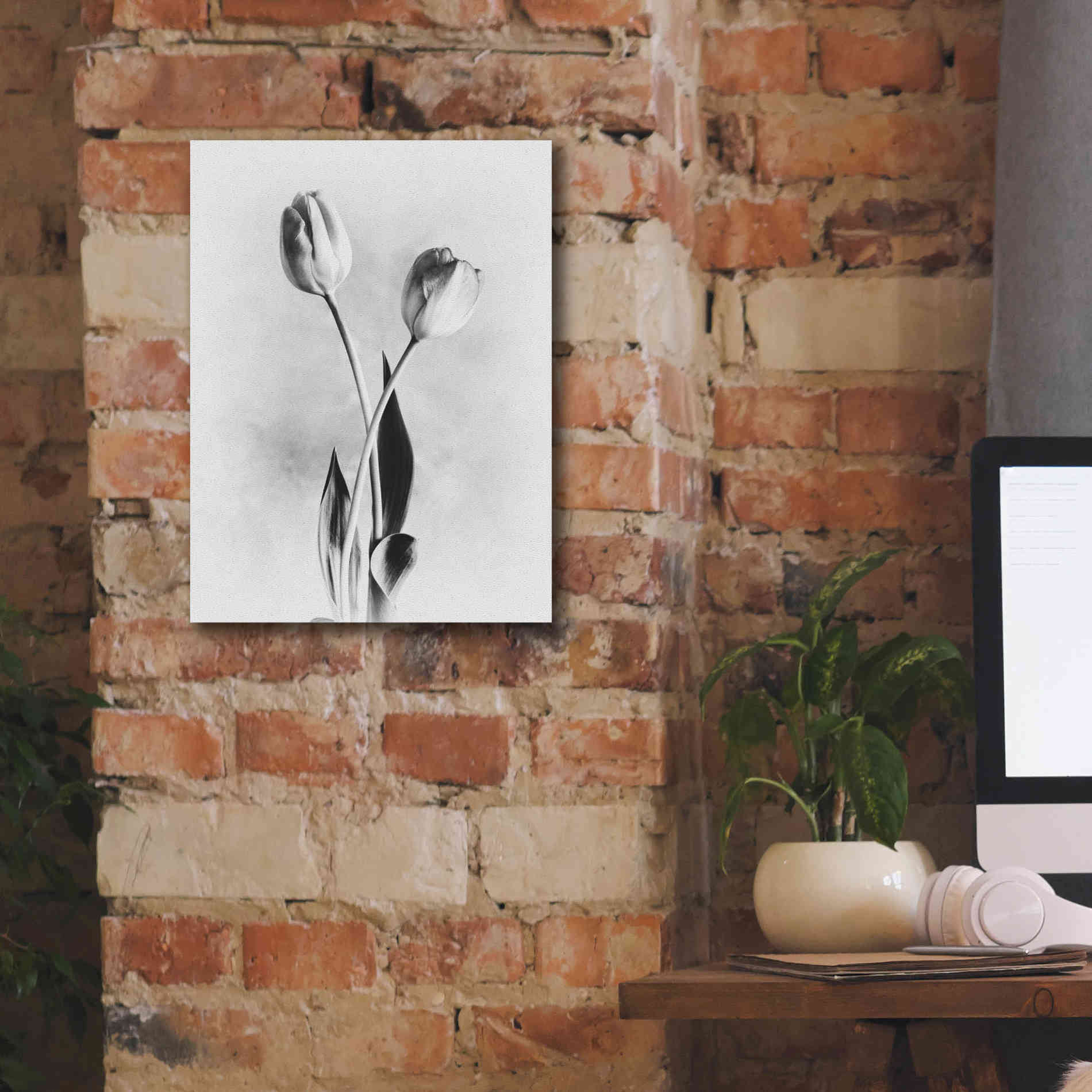 'Soft Tulips IV' by Debra Van Swearingen, Canvas Wall Art,12 x 16