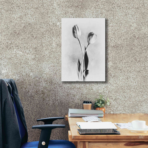 Image of 'Soft Tulips IV' by Debra Van Swearingen, Canvas Wall Art,18 x 26