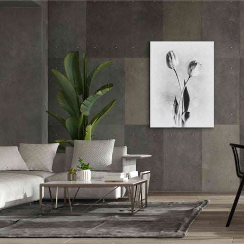 Image of 'Soft Tulips IV' by Debra Van Swearingen, Canvas Wall Art,40 x 54