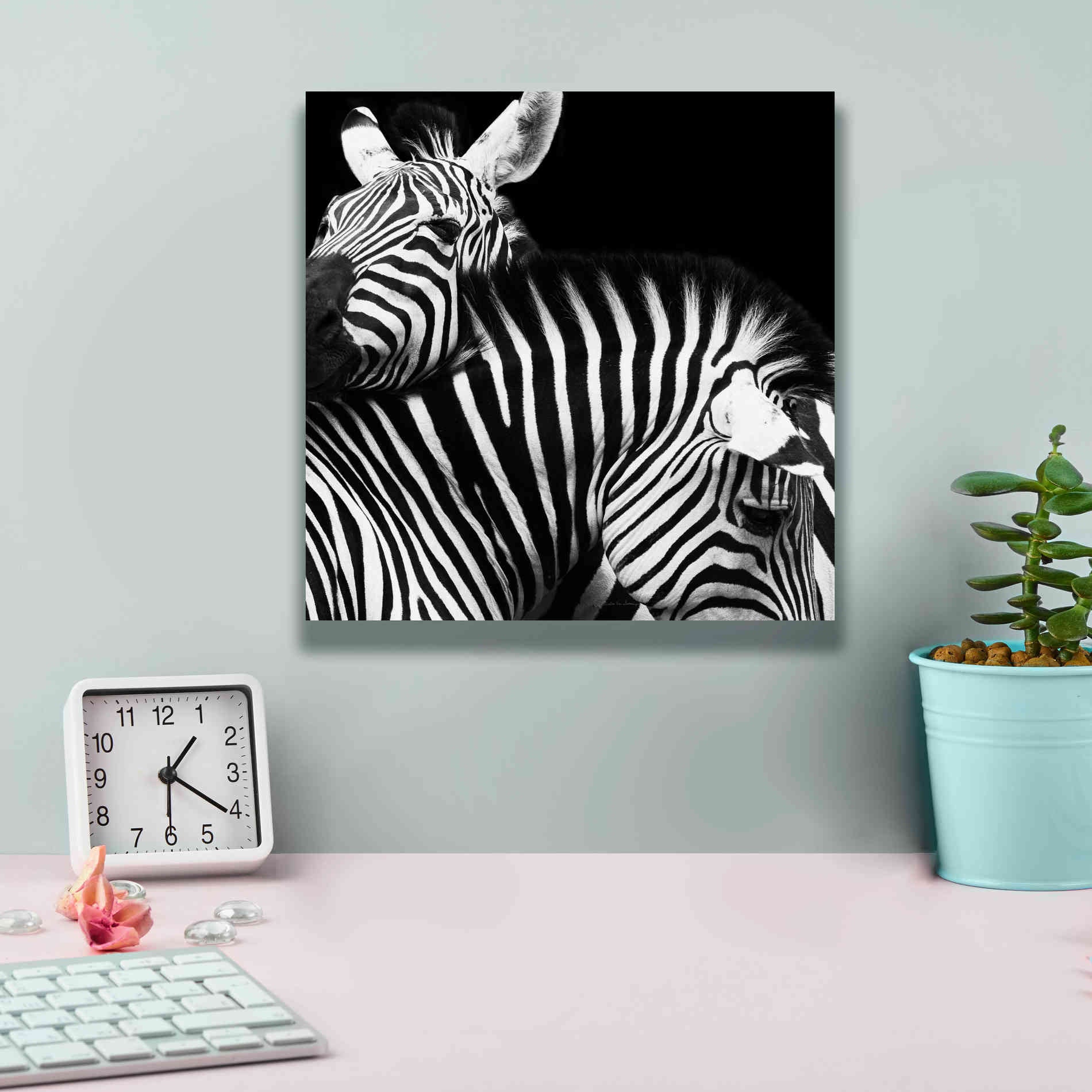 'Zebra VI' by Debra Van Swearingen, Canvas Wall Art,12 x 12