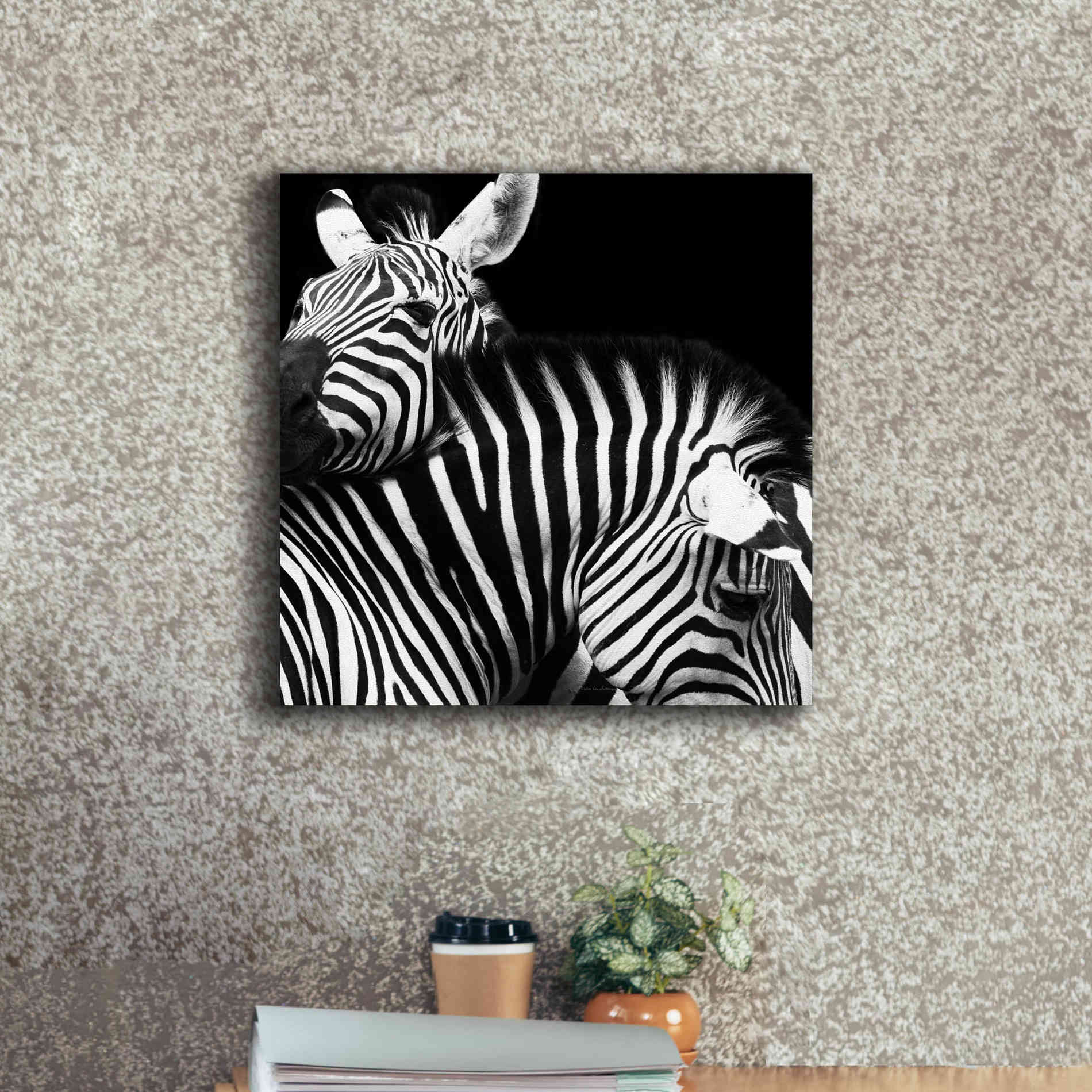 'Zebra VI' by Debra Van Swearingen, Canvas Wall Art,18 x 18