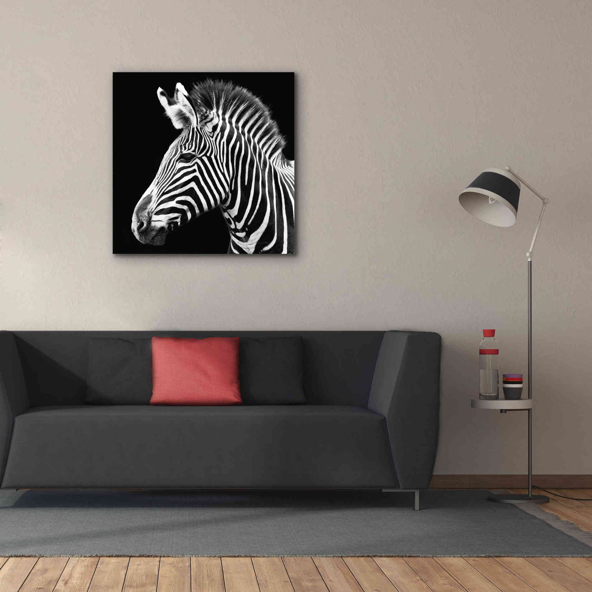 'Zebra VII' by Debra Van Swearingen, Canvas Wall Art,37 x 37