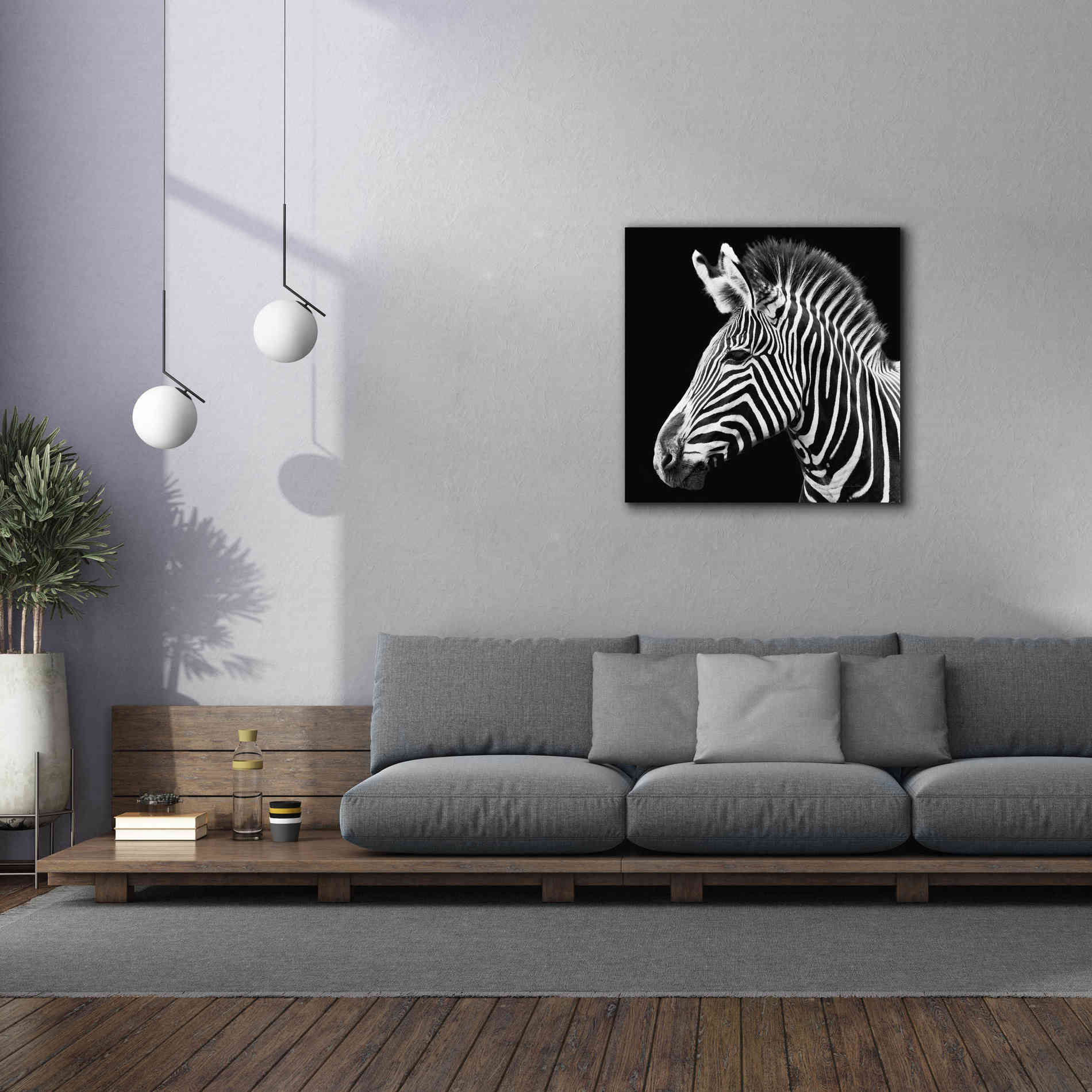 'Zebra VII' by Debra Van Swearingen, Canvas Wall Art,37 x 37
