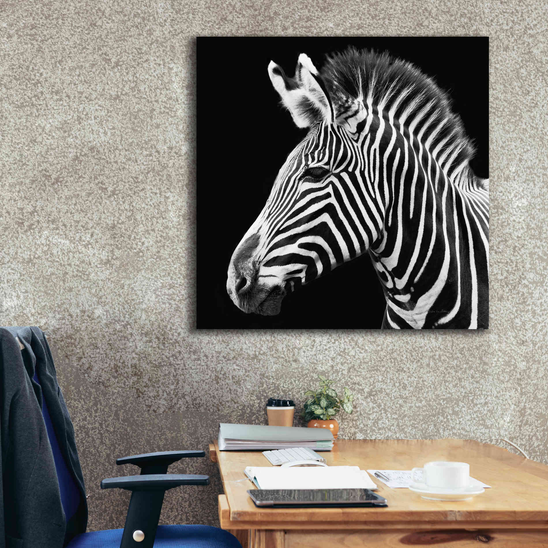 'Zebra VII' by Debra Van Swearingen, Canvas Wall Art,37 x 37