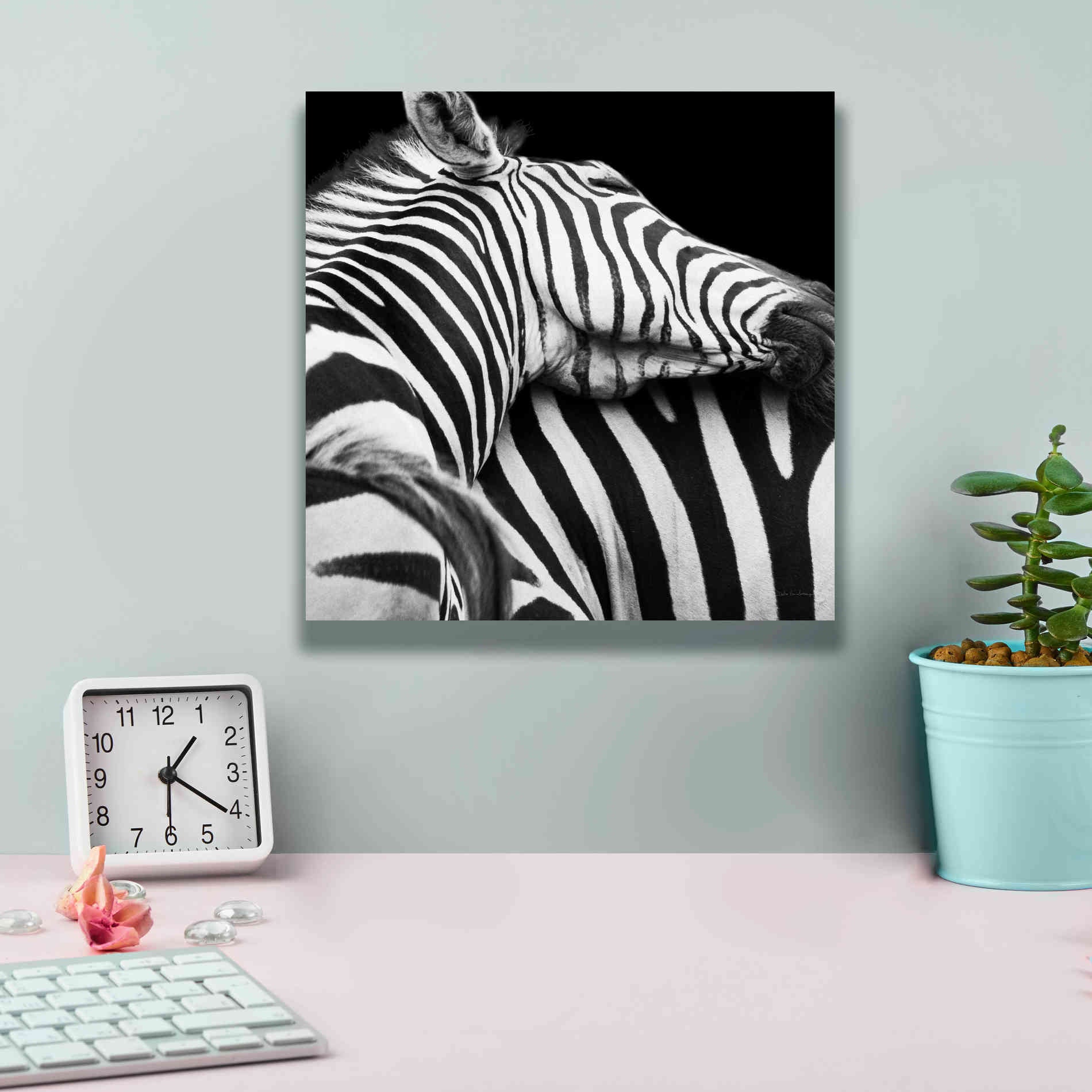 'Zebra VIII' by Debra Van Swearingen, Canvas Wall Art,12 x 12