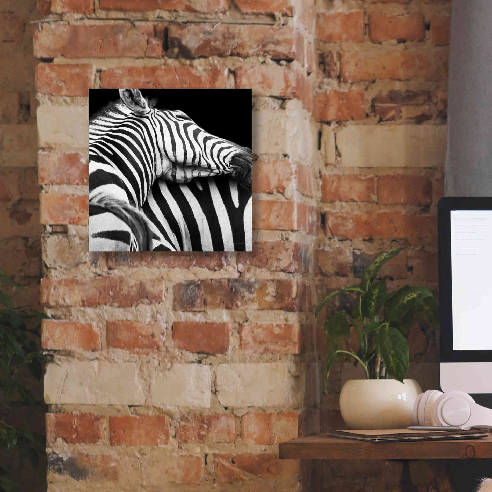 'Zebra VIII' by Debra Van Swearingen, Canvas Wall Art,12 x 12