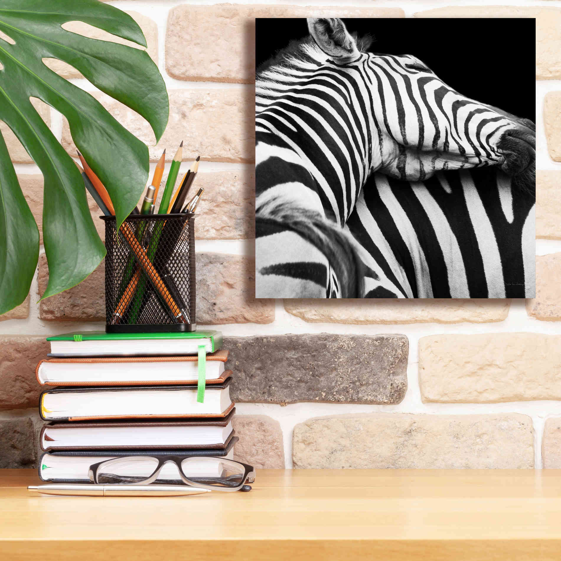 'Zebra VIII' by Debra Van Swearingen, Canvas Wall Art,12 x 12