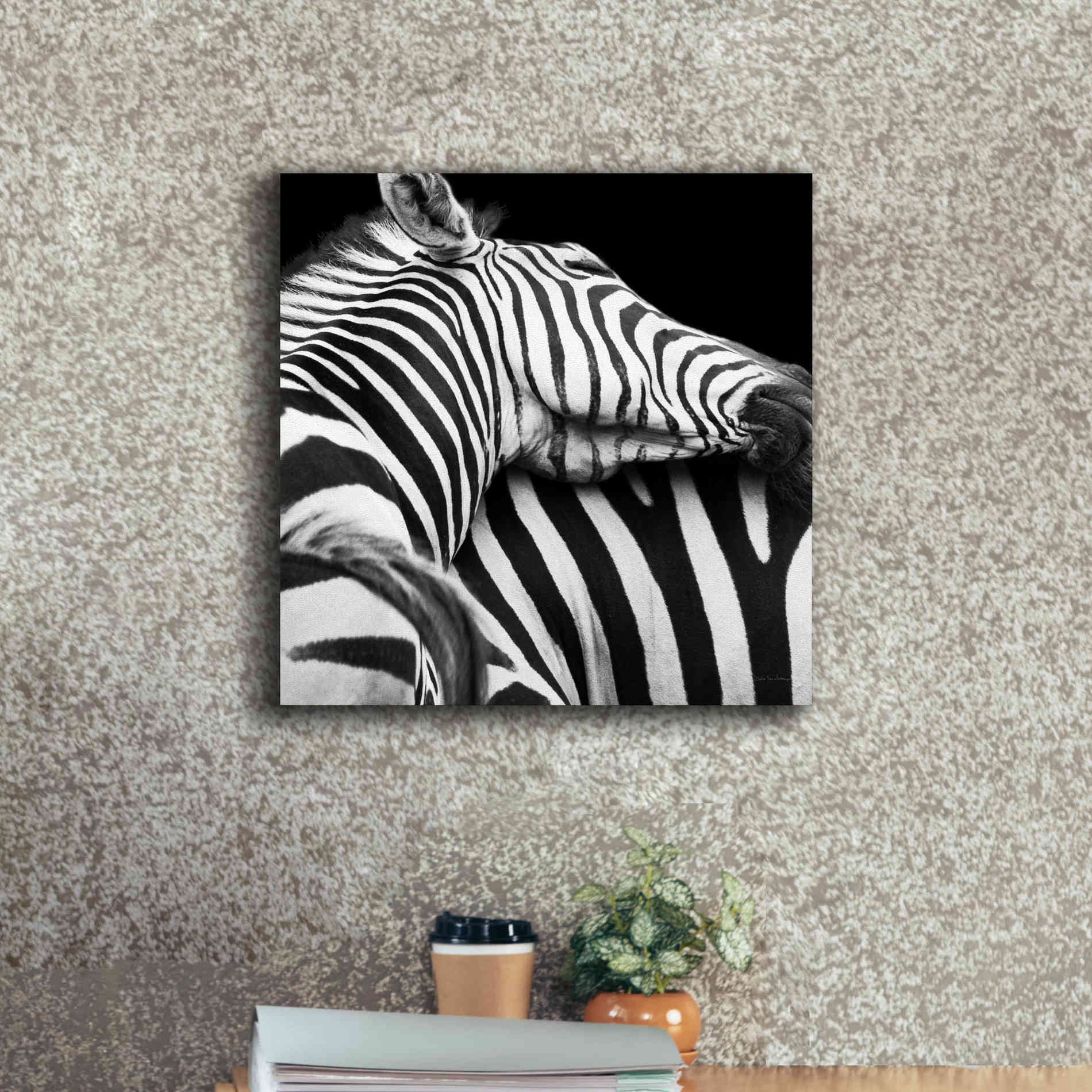 'Zebra VIII' by Debra Van Swearingen, Canvas Wall Art,18 x 18