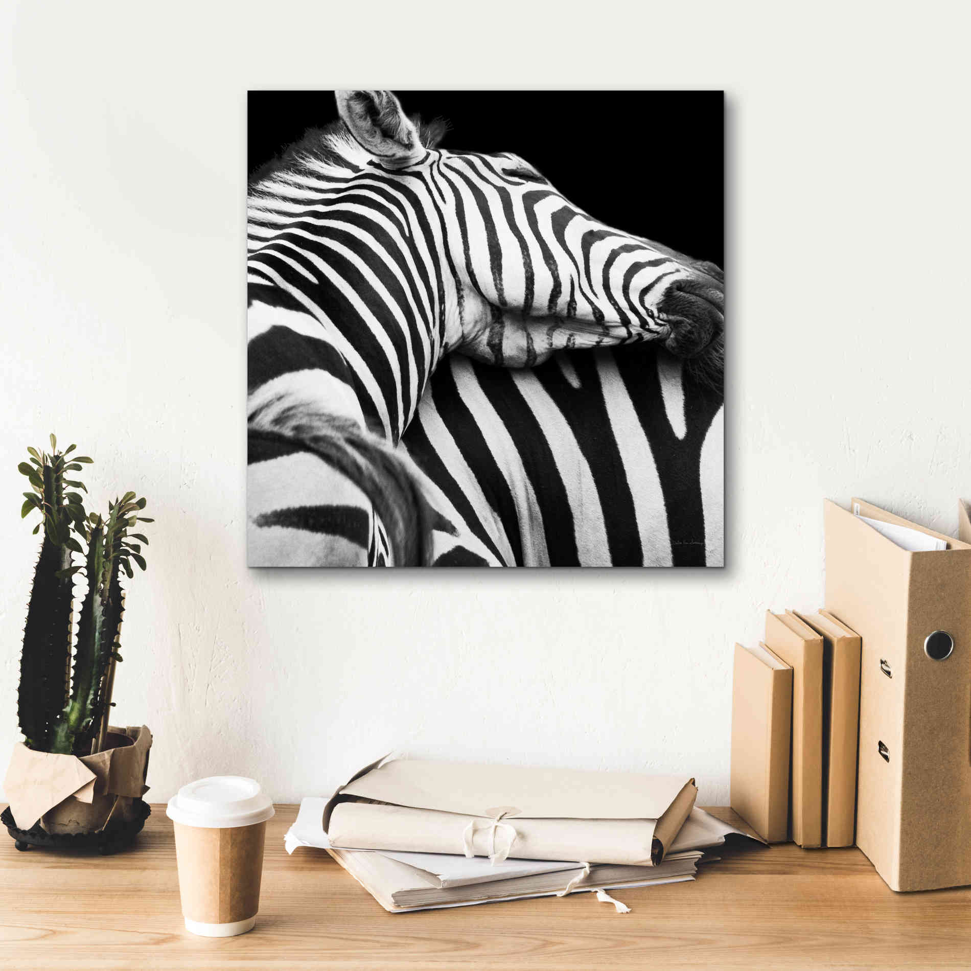 'Zebra VIII' by Debra Van Swearingen, Canvas Wall Art,18 x 18