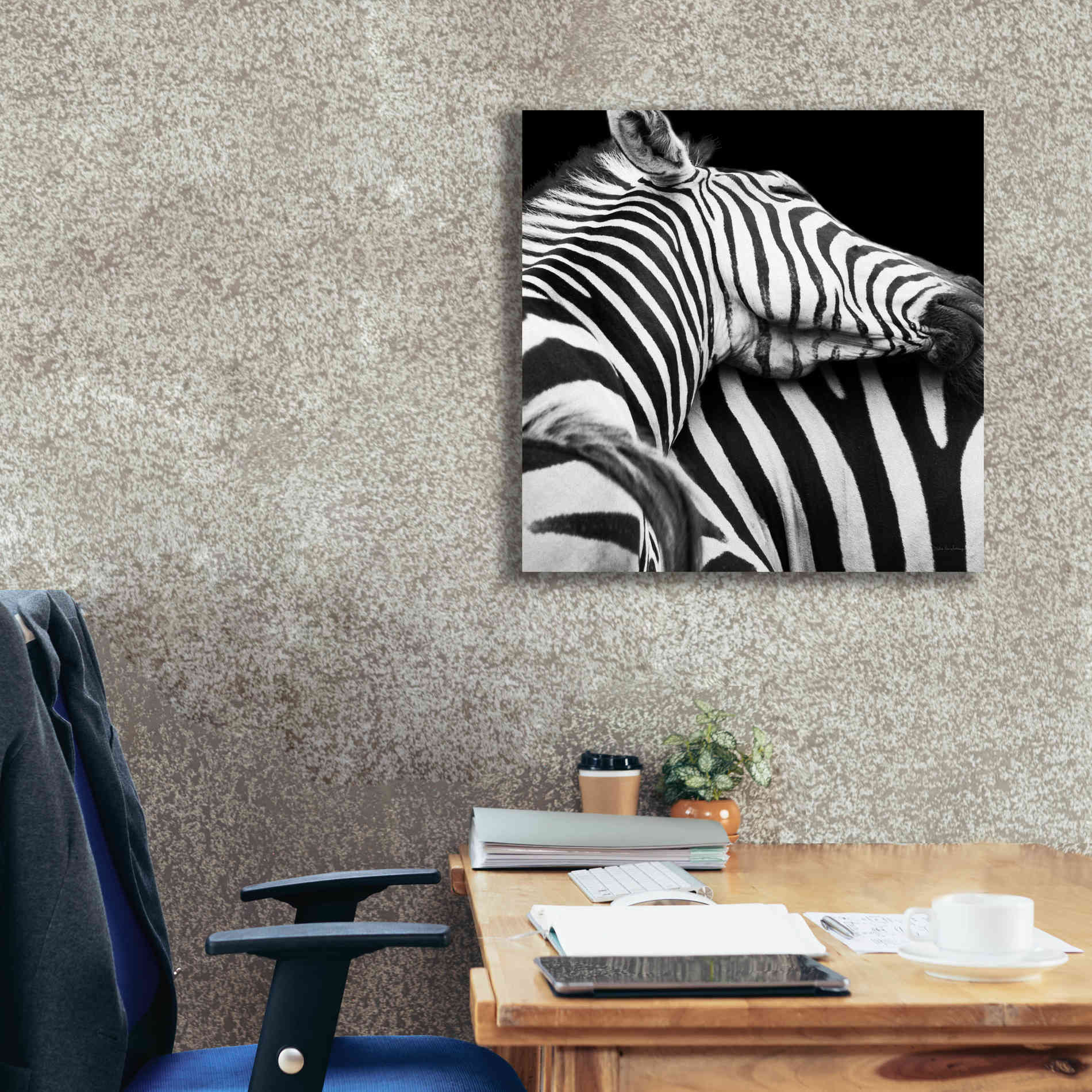'Zebra VIII' by Debra Van Swearingen, Canvas Wall Art,26 x 26