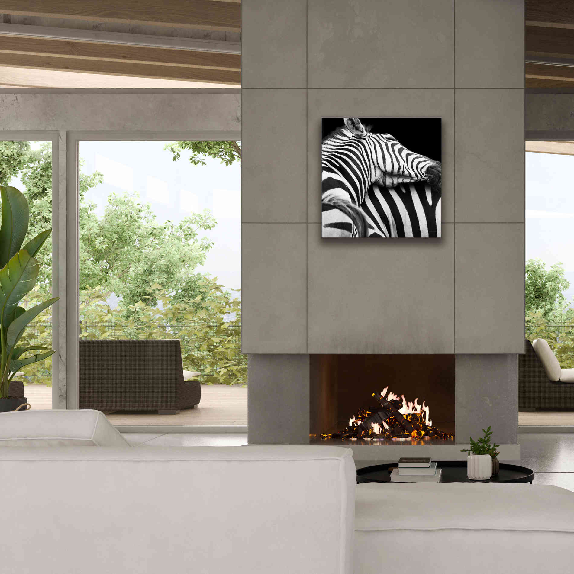 'Zebra VIII' by Debra Van Swearingen, Canvas Wall Art,26 x 26