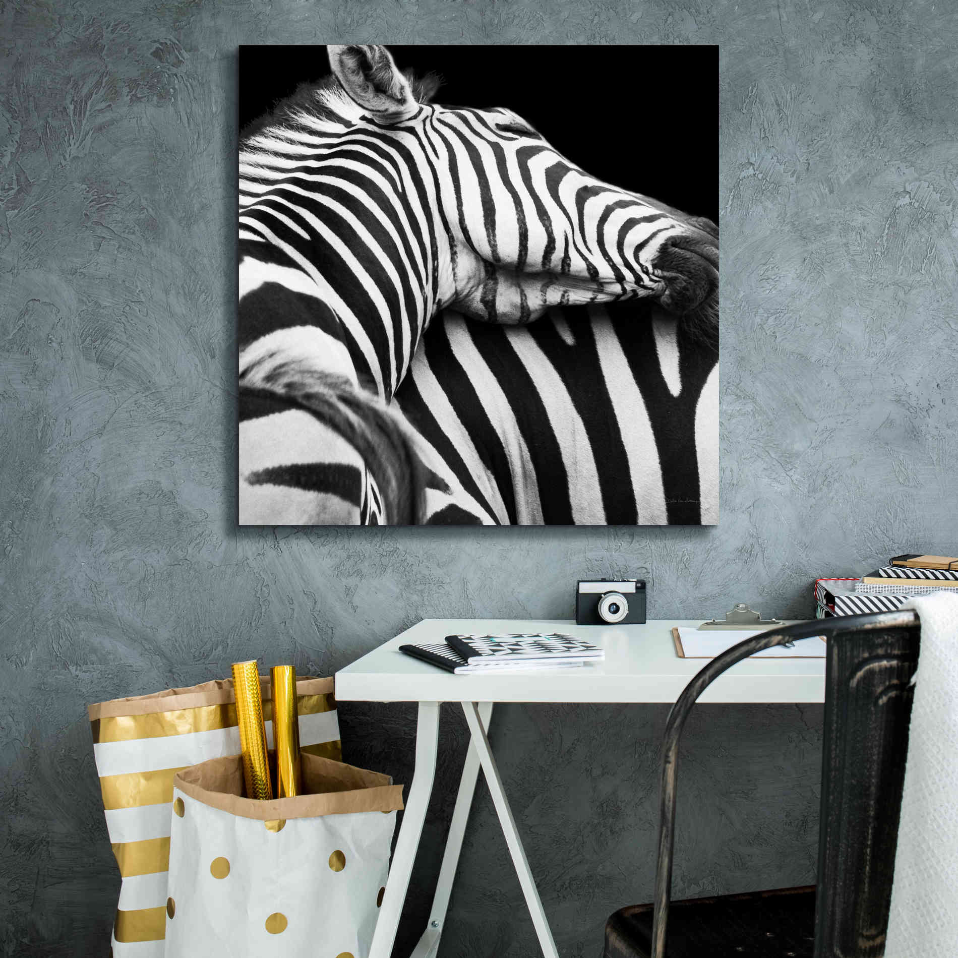 'Zebra VIII' by Debra Van Swearingen, Canvas Wall Art,26 x 26