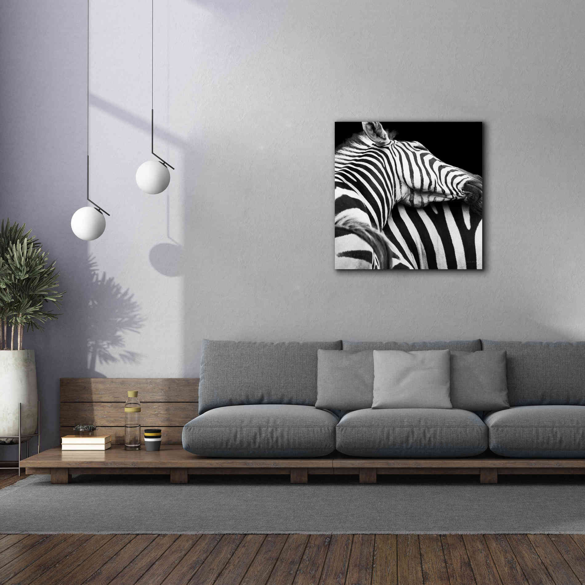 'Zebra VIII' by Debra Van Swearingen, Canvas Wall Art,37 x 37