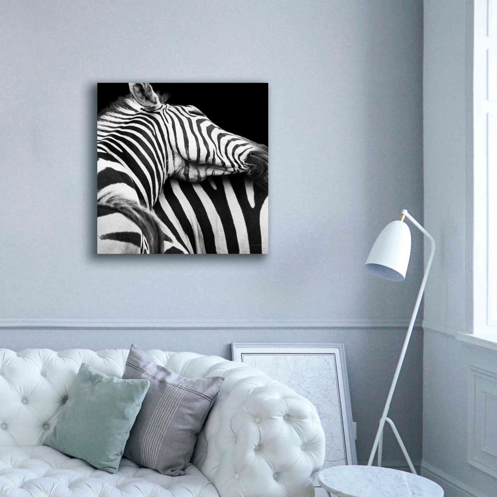 'Zebra VIII' by Debra Van Swearingen, Canvas Wall Art,37 x 37