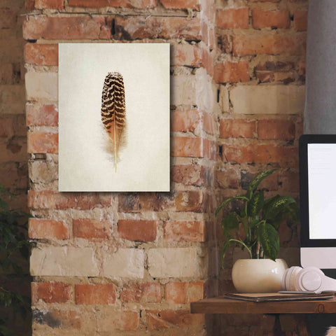 Image of 'Feather I' by Debra Van Swearingen, Canvas Wall Art,12 x 16
