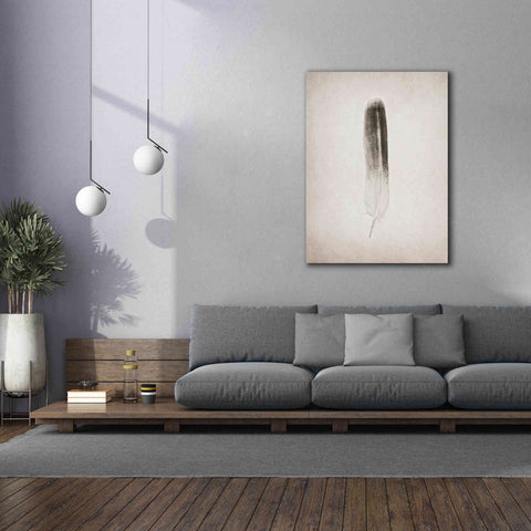 Image of 'Feather II B&W' by Debra Van Swearingen, Canvas Wall Art,40 x 54