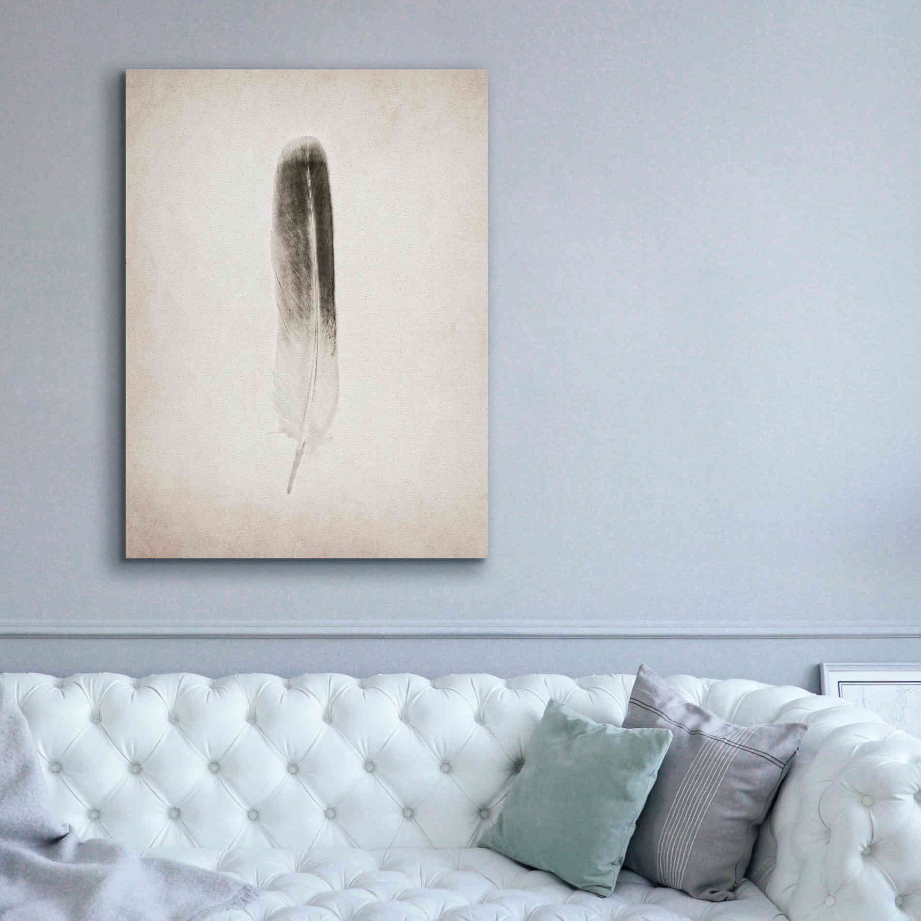 'Feather II B&W' by Debra Van Swearingen, Canvas Wall Art,40 x 54