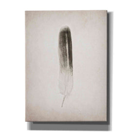 'Feather II B&W' by Debra Van Swearingen, Canvas Wall Art,12x16x1.1x0,20x24x1.1x0,26x30x1.74x0,40x54x1.74x0