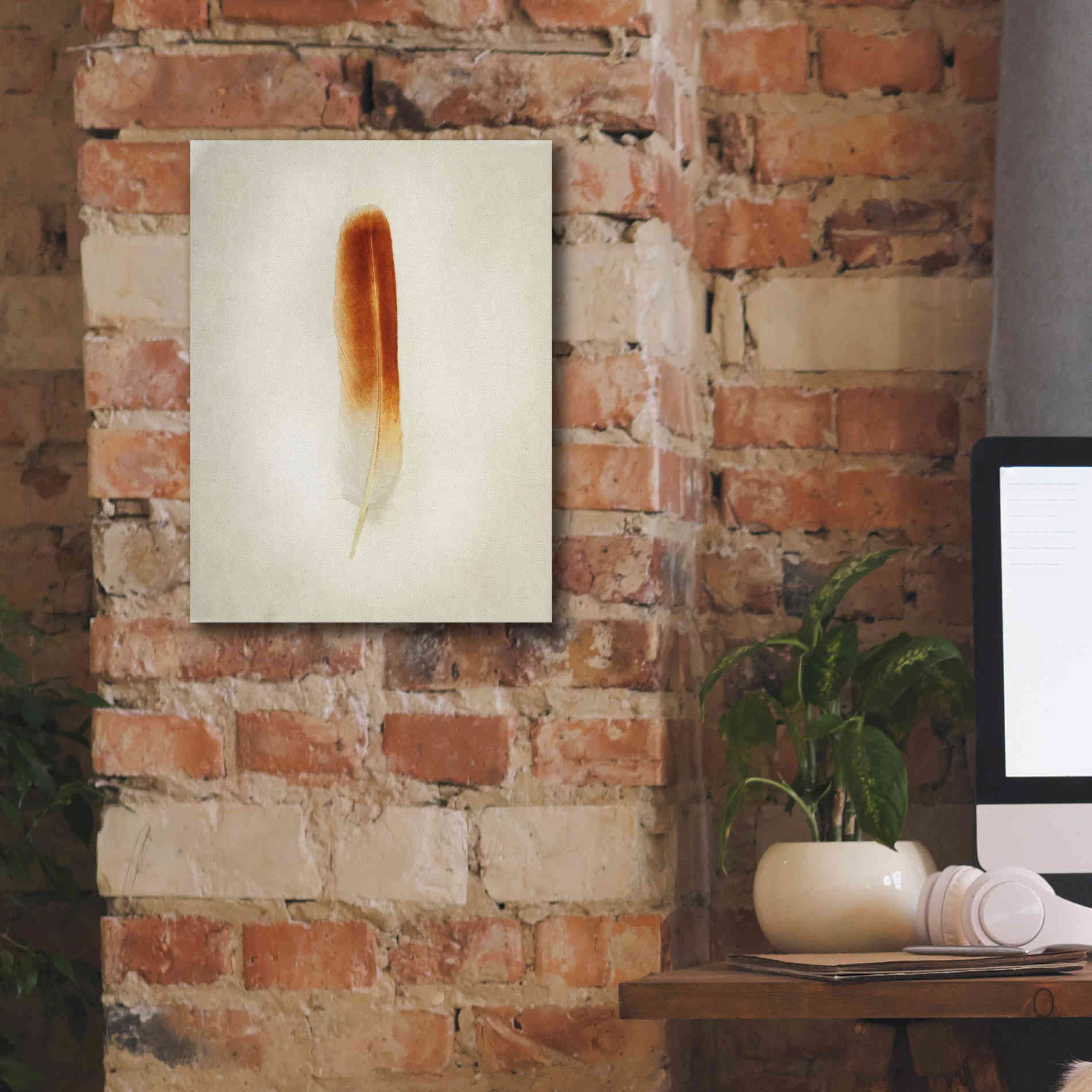 'Feather II' by Debra Van Swearingen, Canvas Wall Art,12 x 16