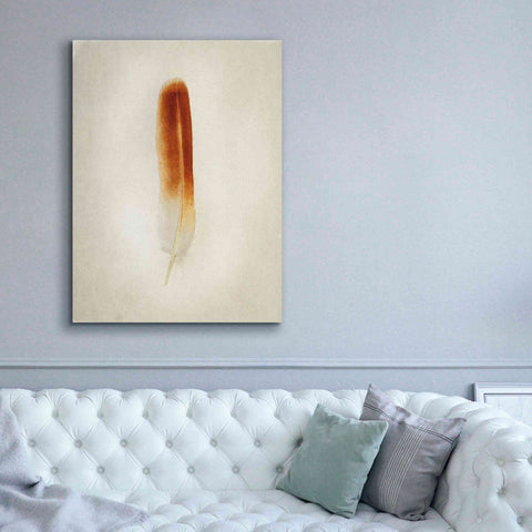 Image of 'Feather II' by Debra Van Swearingen, Canvas Wall Art,40 x 54