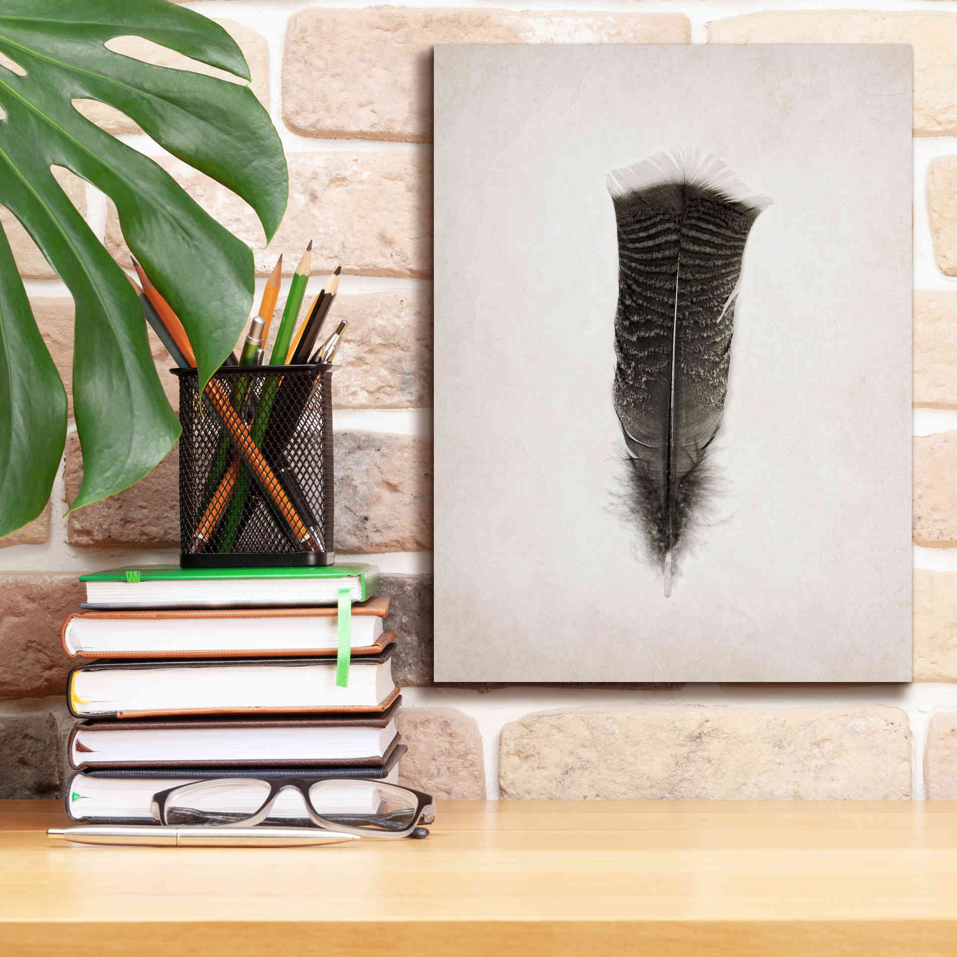 'Feather III B&W' by Debra Van Swearingen, Canvas Wall Art,12 x 16