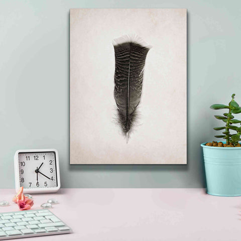 Image of 'Feather III B&W' by Debra Van Swearingen, Canvas Wall Art,12 x 16