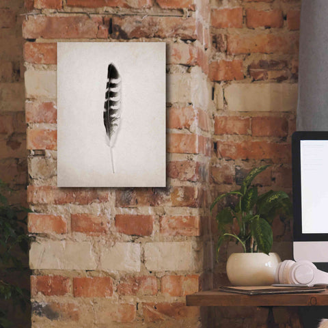 Image of 'Feather IV B&W' by Debra Van Swearingen, Canvas Wall Art,12 x 16