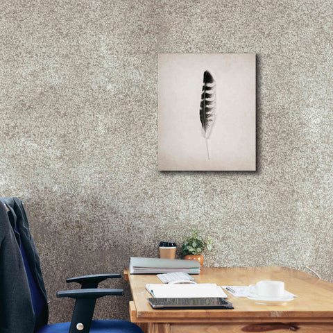 Image of 'Feather IV B&W' by Debra Van Swearingen, Canvas Wall Art,20 x 24