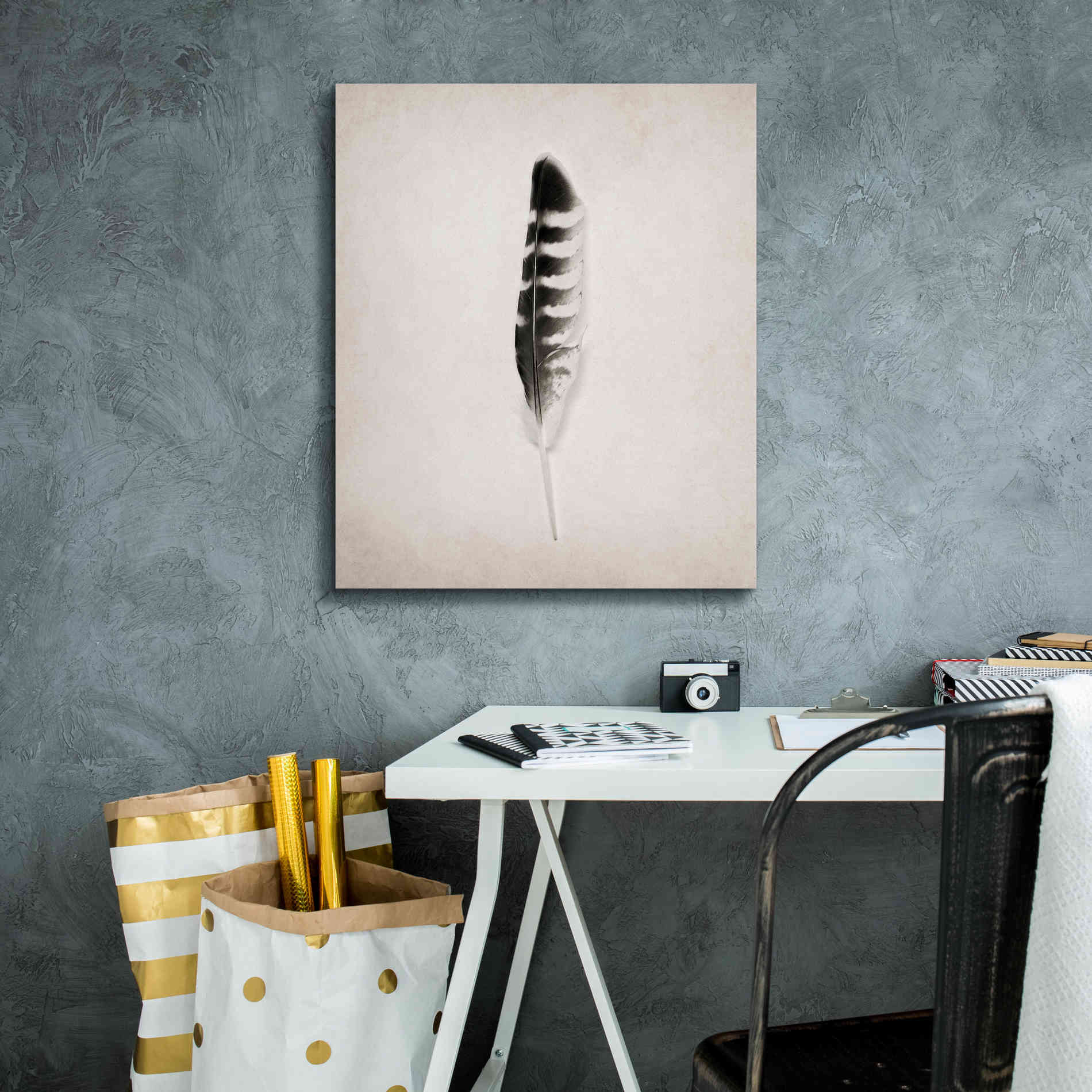 'Feather IV B&W' by Debra Van Swearingen, Canvas Wall Art,20 x 24