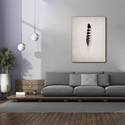Image of 'Feather IV B&W' by Debra Van Swearingen, Canvas Wall Art,40 x 54