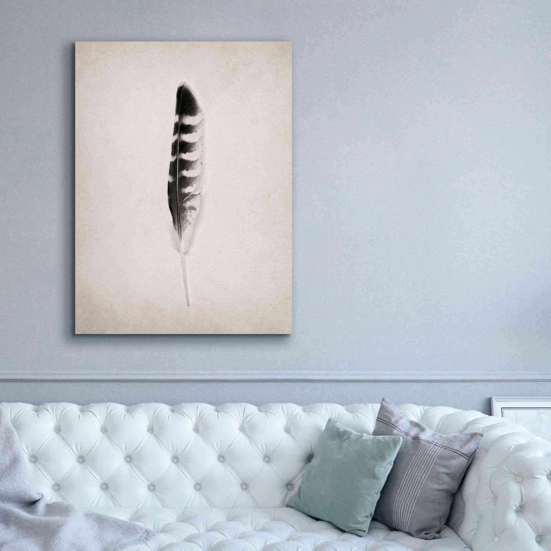 'Feather IV B&W' by Debra Van Swearingen, Canvas Wall Art,40 x 54