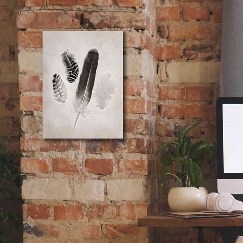 Image of 'Feather Group I B&W' by Debra Van Swearingen, Canvas Wall Art,12 x 16
