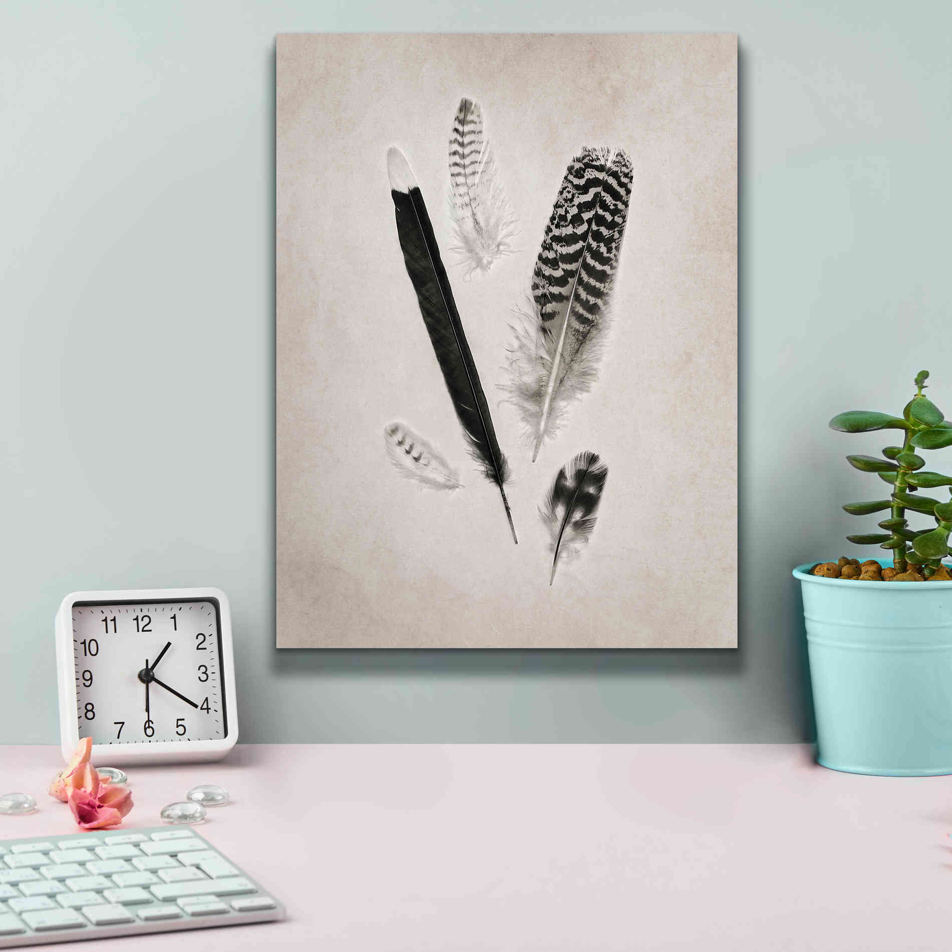'Feather Group II B&W' by Debra Van Swearingen, Canvas Wall Art,12 x 16