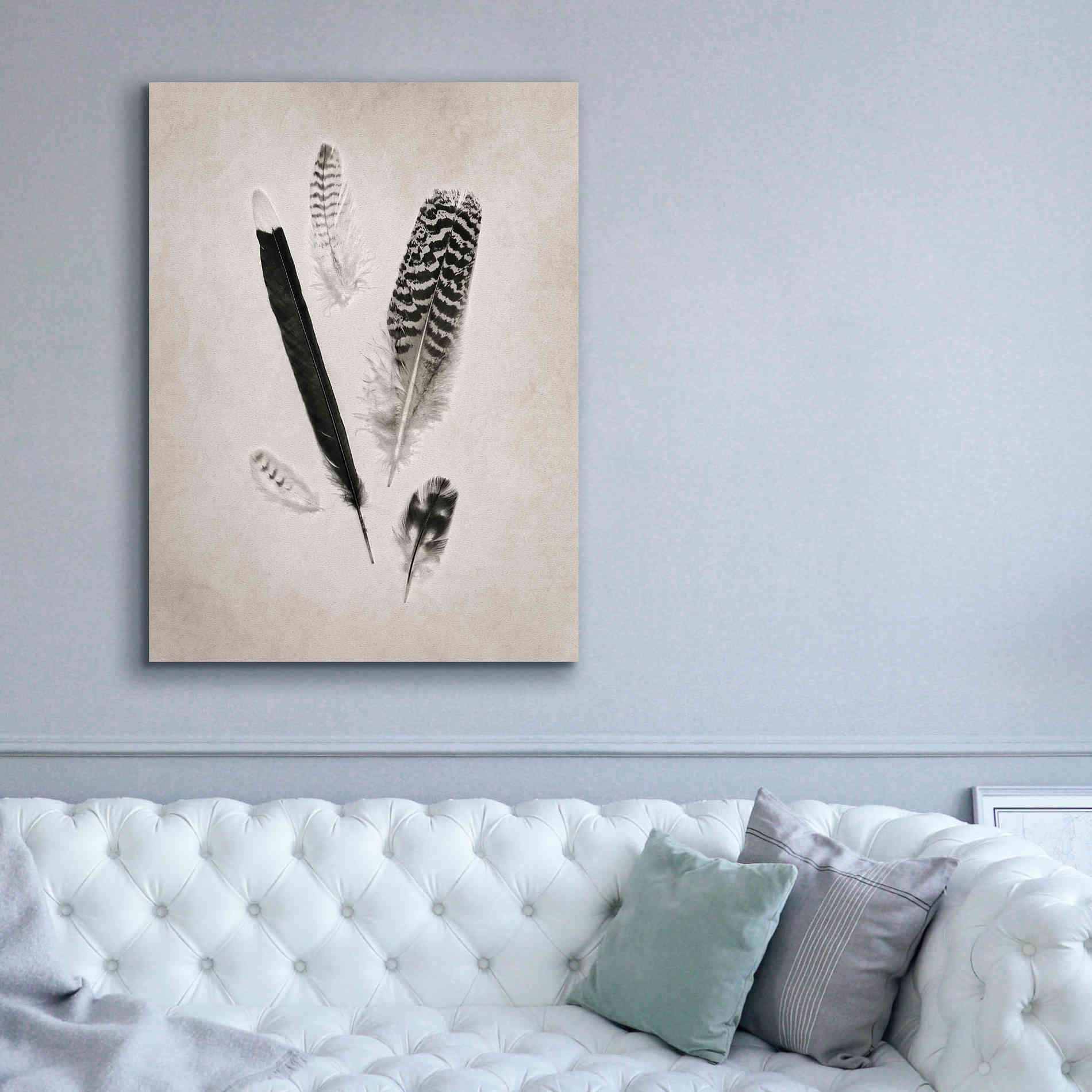 'Feather Group II B&W' by Debra Van Swearingen, Canvas Wall Art,40 x 54
