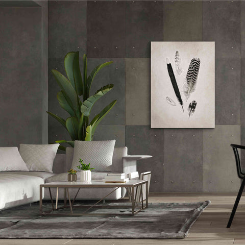 Image of 'Feather Group II B&W' by Debra Van Swearingen, Canvas Wall Art,40 x 54