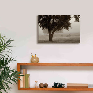 'Calm Mist' by Debra Van Swearingen, Canvas Wall Art,18 x 12