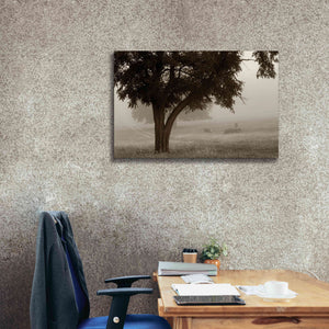 'Calm Mist' by Debra Van Swearingen, Canvas Wall Art,40 x 26