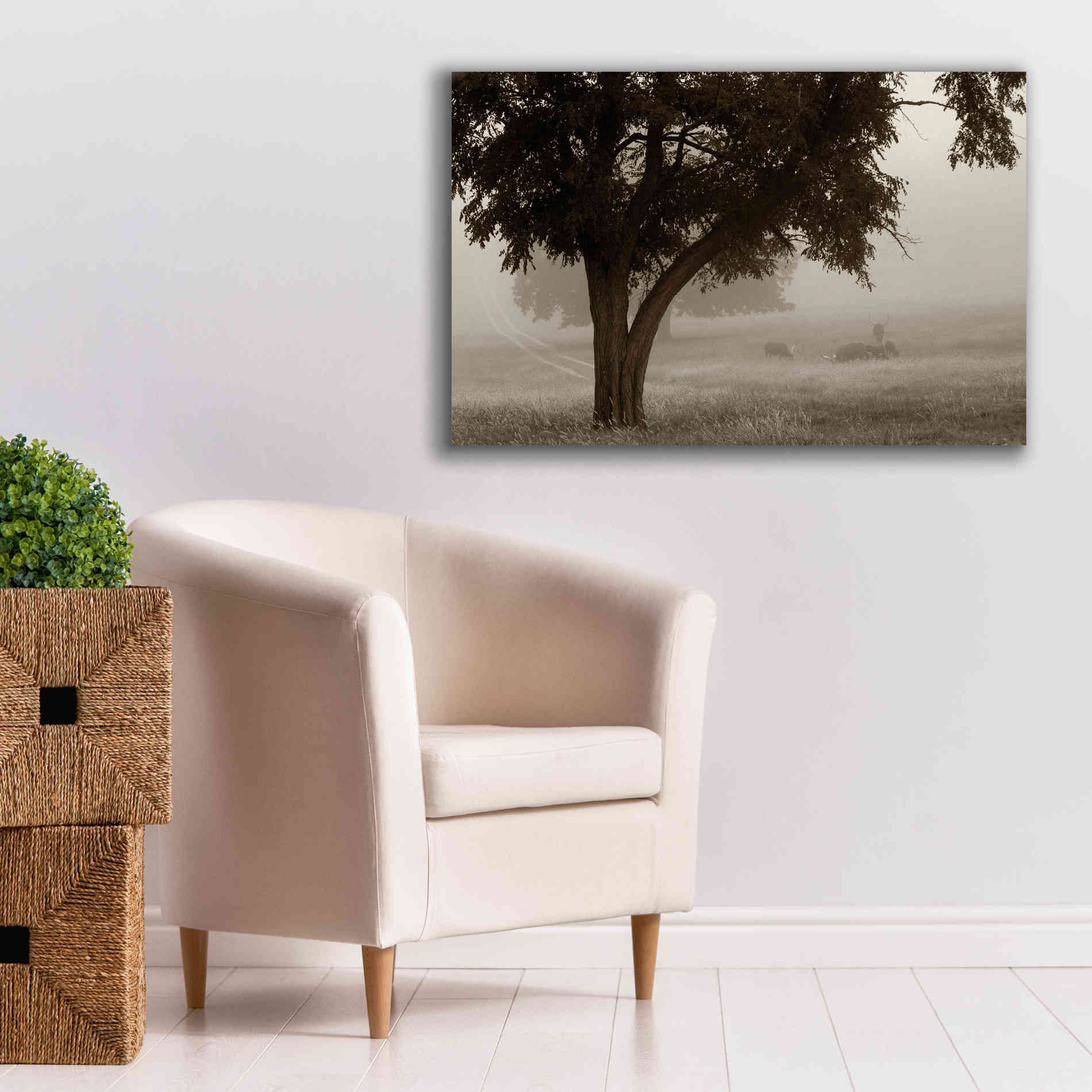 'Calm Mist' by Debra Van Swearingen, Canvas Wall Art,40 x 26