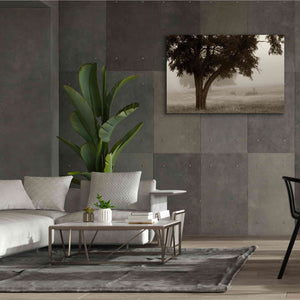 'Calm Mist' by Debra Van Swearingen, Canvas Wall Art,60 x 40