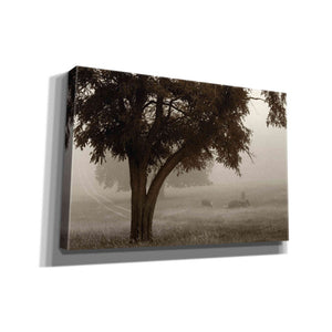 'Calm Mist' by Debra Van Swearingen, Canvas Wall Art,18x12x1.1x0,26x18x1.1x0,40x26x1.74x0,60x40x1.74x0